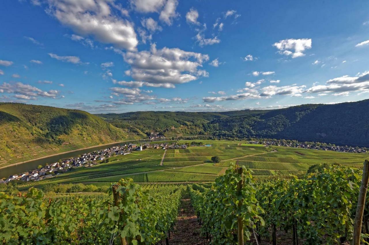 Beilsteiner Ferienwohnungen Beilstein  Exteriér fotografie